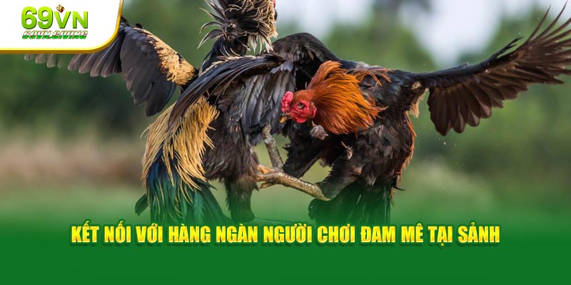 Kết nối với hàng ngàn người chơi đam mê tại sảnh